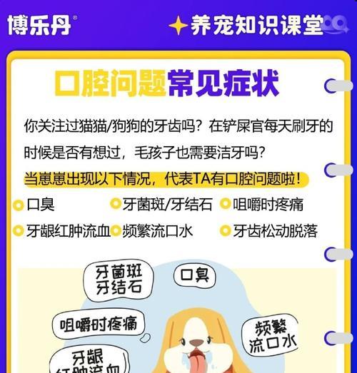 八个月狗狗牙齿细菌如何处理？预防措施是什么？