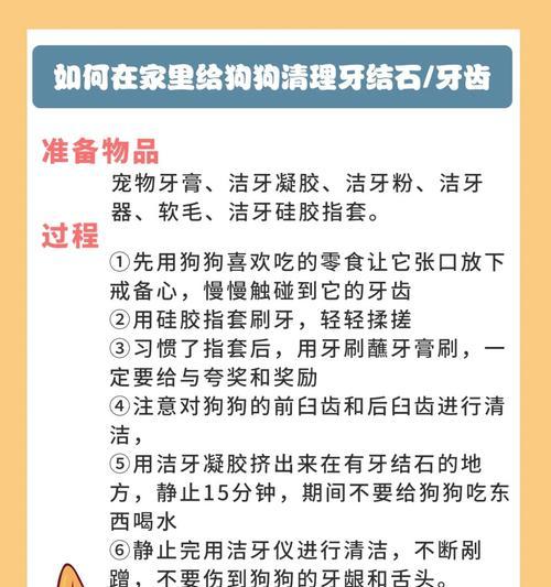 八个月狗狗牙齿细菌如何处理？预防措施是什么？