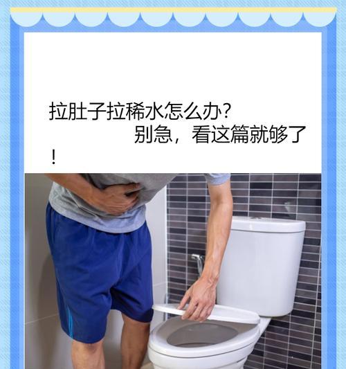 拉布拉多内驱虫后拉稀怎么办？如何应对？