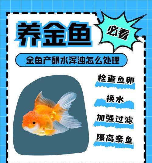 鱼缸鱼食导致水浑浊怎么办？如何解决？