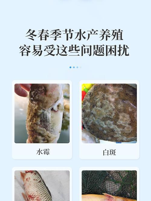 鱼塘出血病的治疗方法是什么？哪种药物最有效？