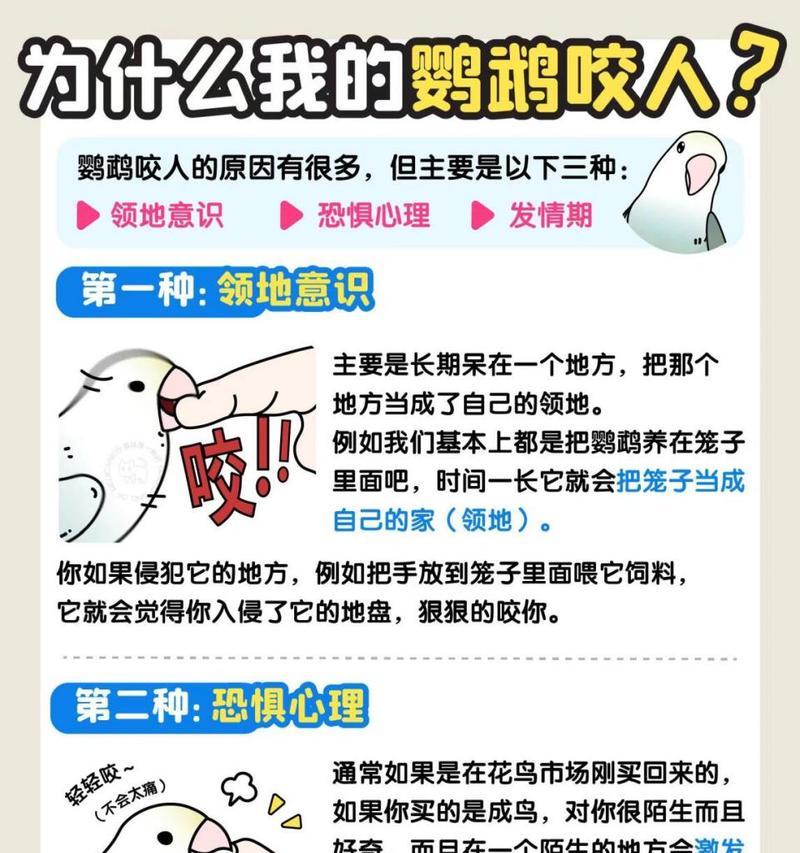 鹦鹉咬人后如何安抚？怎样防止再次发生？