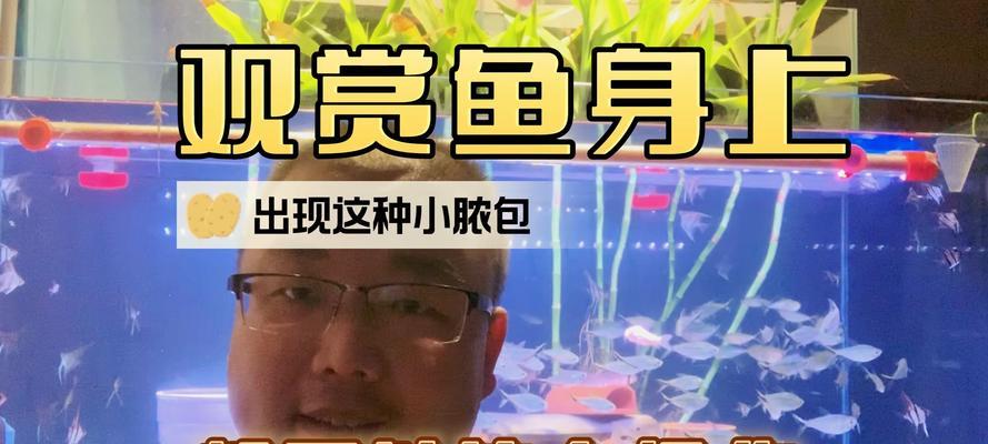 清道夫鱼身上出现小气泡是什么原因？如何解决？