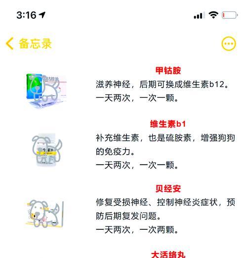 宠物狗脑炎的常见原因是什么？如何进行治疗？