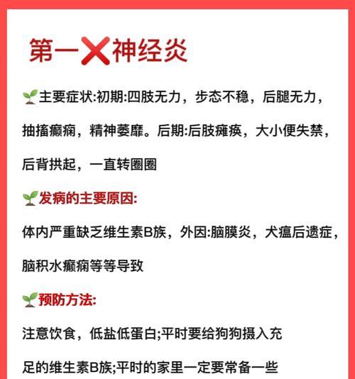 宠物狗脑炎的常见原因是什么？如何进行治疗？