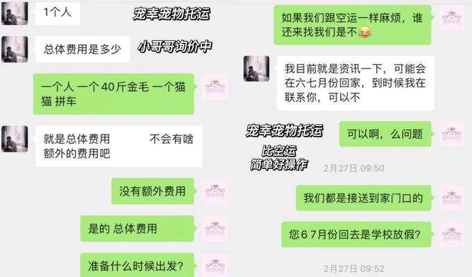 宠物托运后呕吐水怎么办？如何预防和处理？