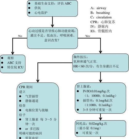 吉娃娃停止呼吸无心跳怎么办？急救措施是什么？