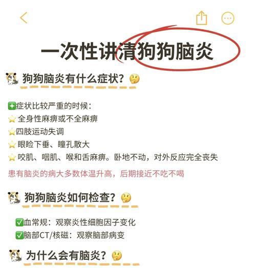 宠物狗脑炎急救办法有哪些？如何快速应对？