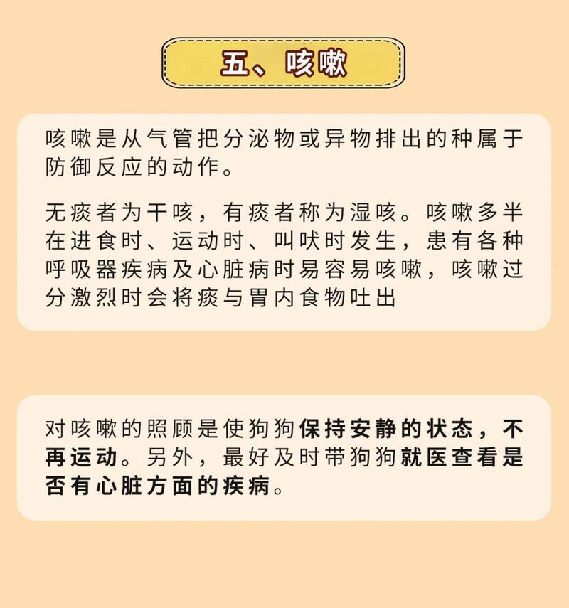 吉娃娃咳嗽像卡东西怎么办？如何判断和处理？