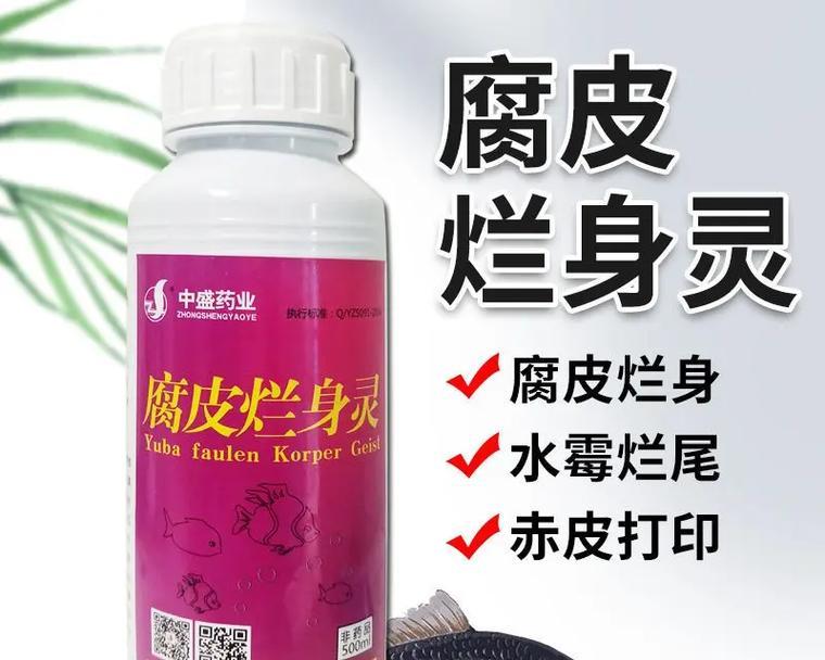 热带鱼鱼鳃烂了怎么办？哪种药物可以治疗？