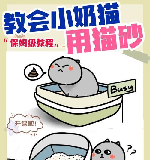 猫咪不在猫砂盆内排泄，如何纠正？