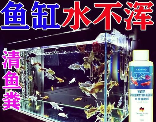 鱼缸放了鱼食变浑用净水剂管用吗怎么办啊？如何快速恢复水质？