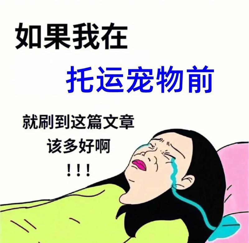 宠物托运后死亡怎么办小妙招？如何避免悲剧发生？