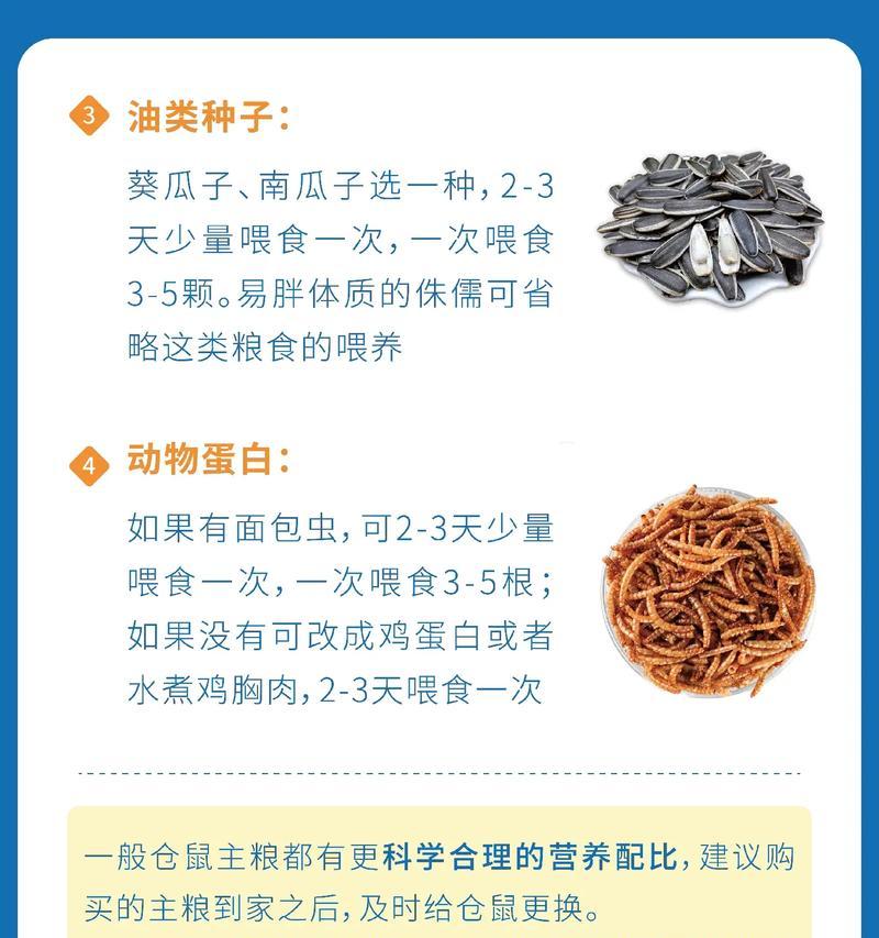 仓鼠啃食卫生纸？如何有效防止并处理？