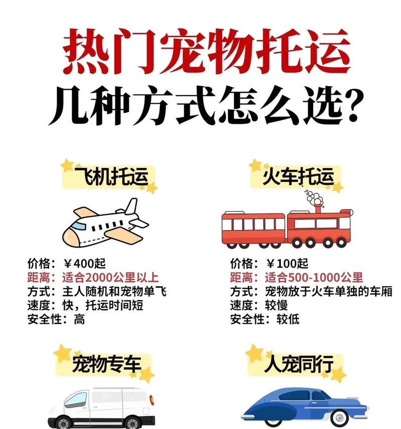 宠物托运不适怎么办？如何预防和处理？