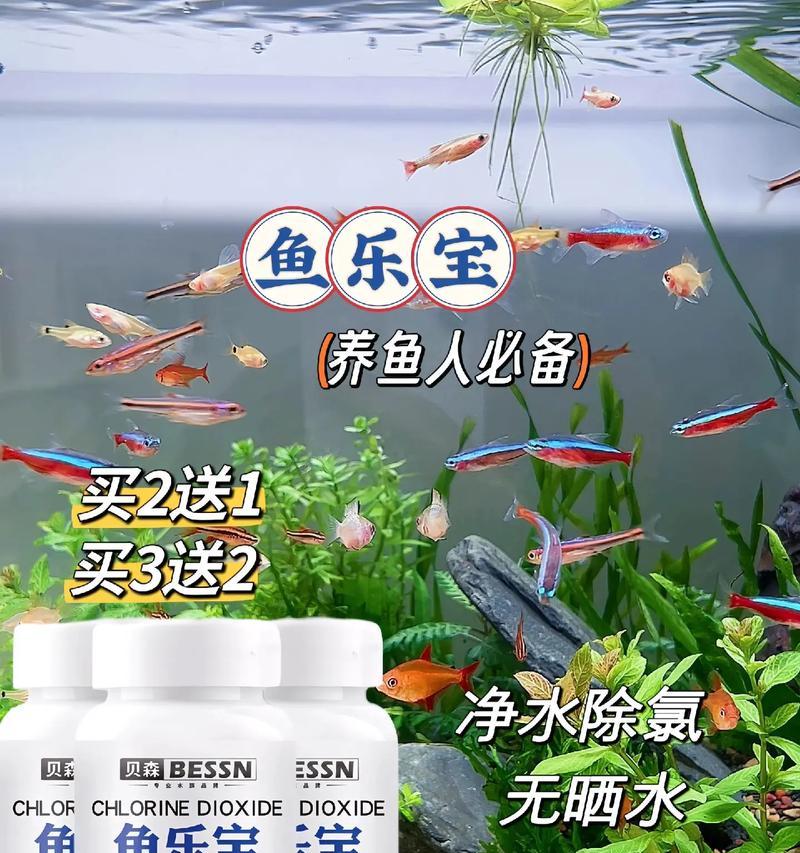 鱼缸水浑浊放药对鱼有影响吗？如何正确处理？