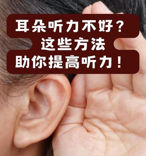 吉娃娃听力丧失应如何处理？有无恢复听力的方法？