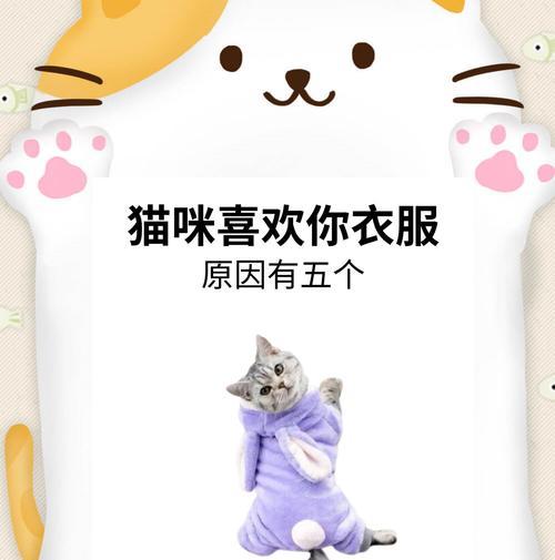 宠物猫互相攻击怎么办？如何防止猫咬猫？