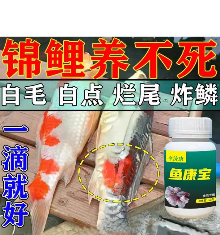 鱼皮肤出现白点怎么办？推荐使用什么药物治疗？