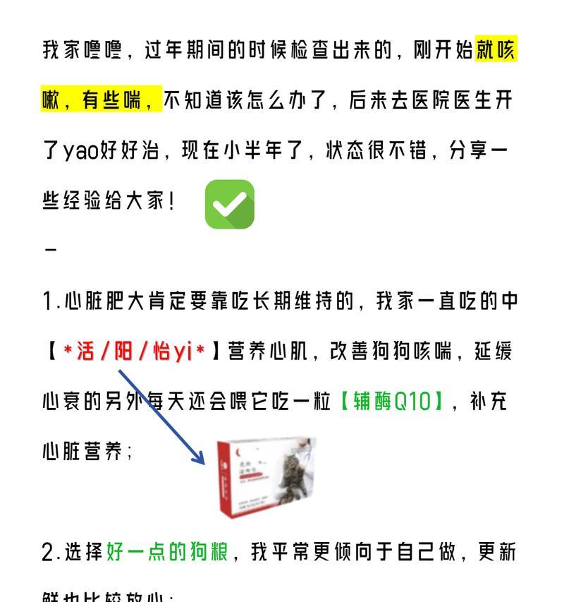 吉娃娃频繁喘息的原因有哪些？如何有效缓解？