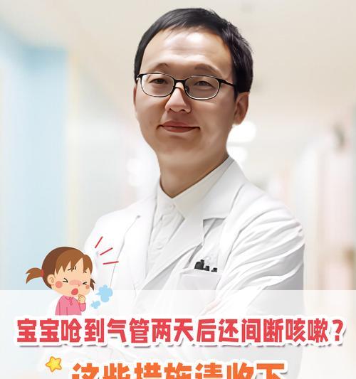 吉娃娃进食容易呛到怎么办？怎么预防？