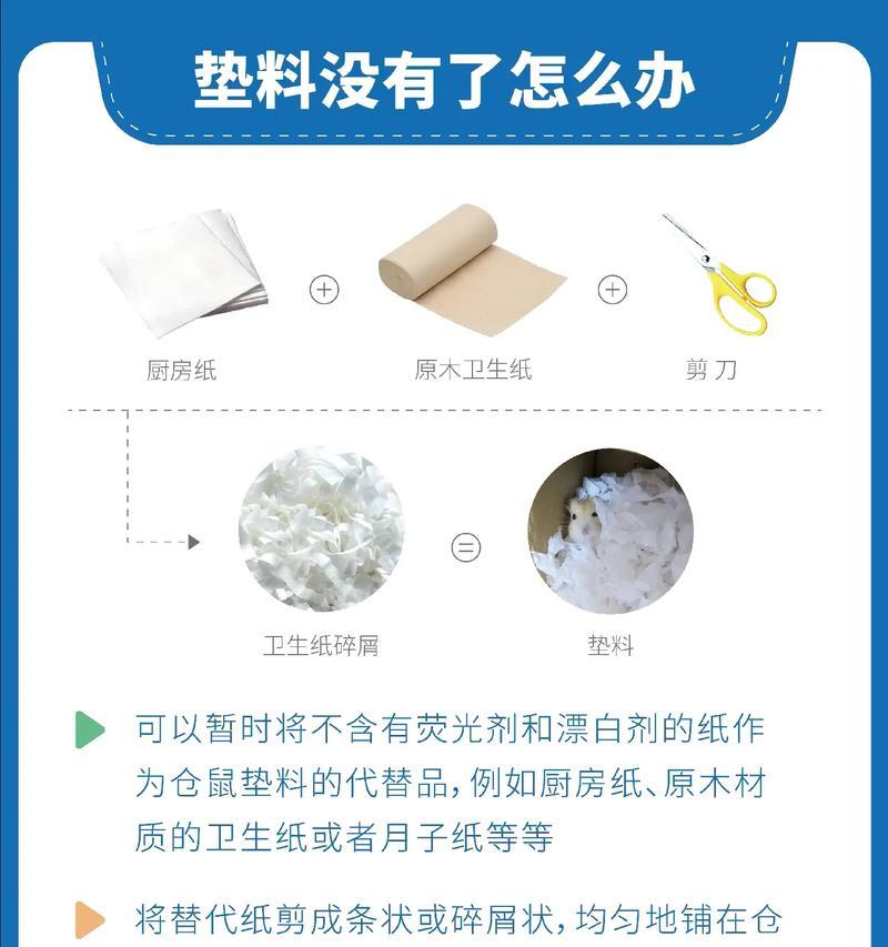 仓鼠啃食卫生纸？怎么有效防止并处理？