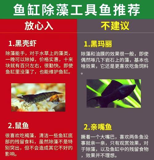 家庭清道夫不工作？怎么激励它们保持清洁？