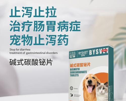 博美犬拉肚子并呕吐应吃什么药？怎么快速缓解症状？