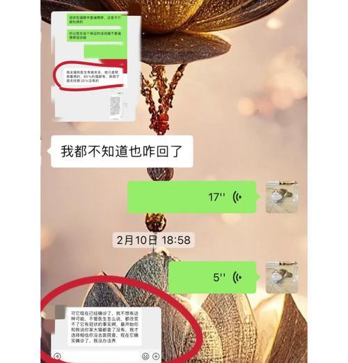 布偶猫感染管型病毒怎么办？有什么治疗措施？