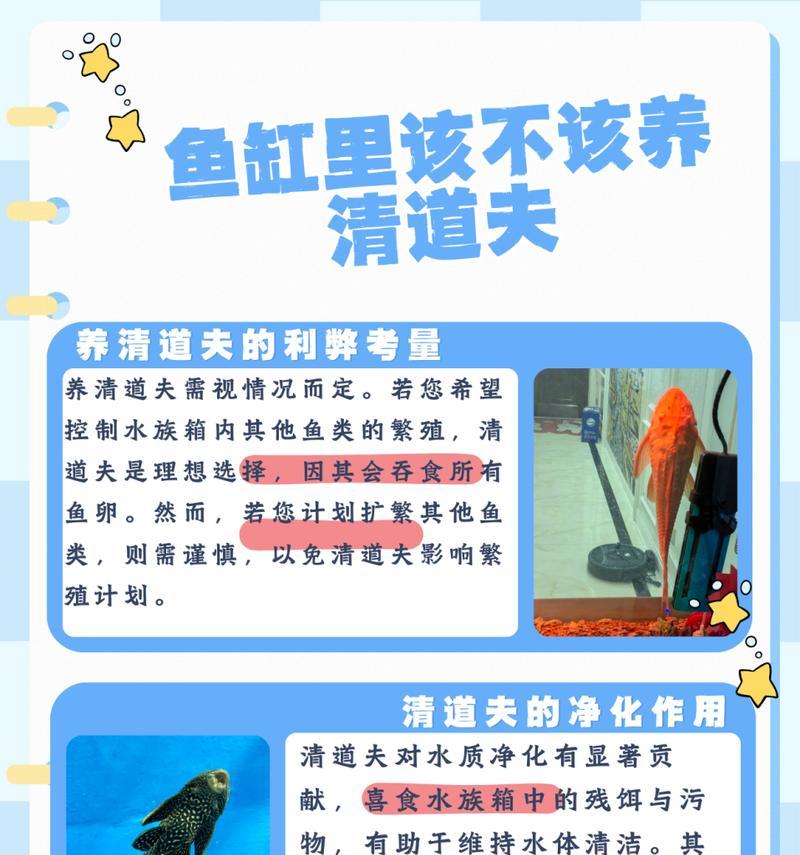 清道夫鱼缸脏怎么办？有什么清洁小妙招？