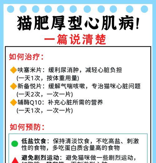 猫咪绝育心肌肥厚怎么办？怎么处理？