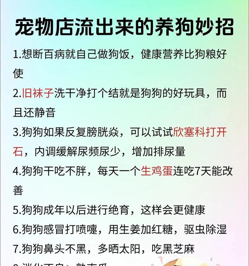 养宠物狗有病菌嘛怎么办小妙招？怎么保持家中卫生？