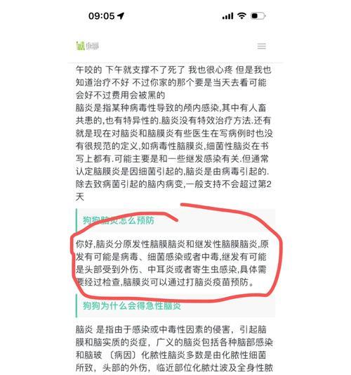 宠物狗脑炎吃什么药最有效？怎么快速缓解症状？