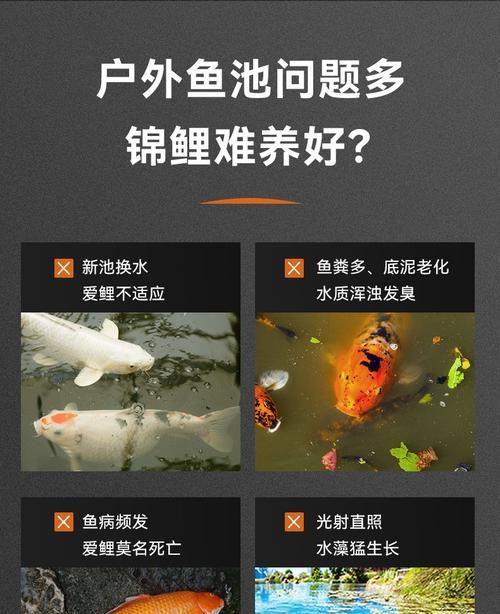 锦鲤新鱼不断分泌黏液为什么？怎么解决？