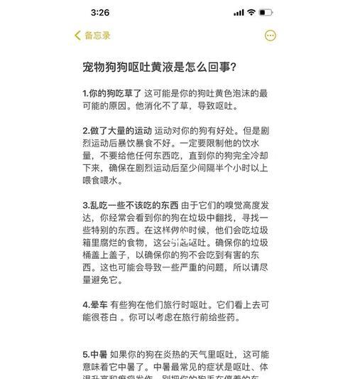 宠物长时间运输后呕吐？怎么缓解和预防？