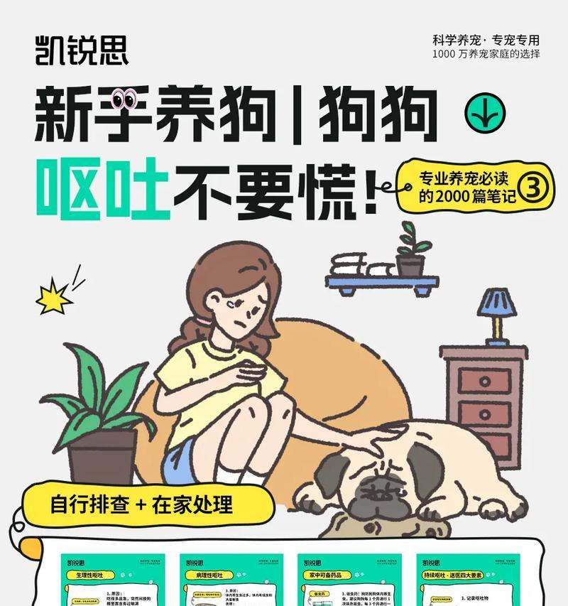 宠物长时间运输后呕吐？怎么缓解和预防？