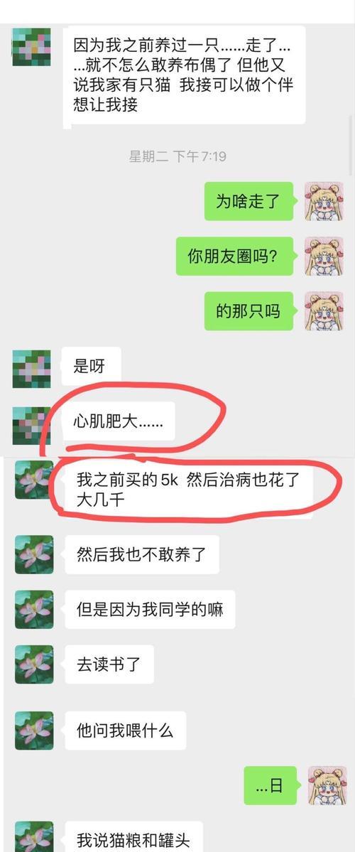 布偶猫心肌炎的症状有哪些？如何处理？