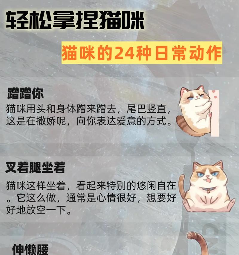 宠物猫互相攻击怎么办？怎么防止猫咬猫行为？