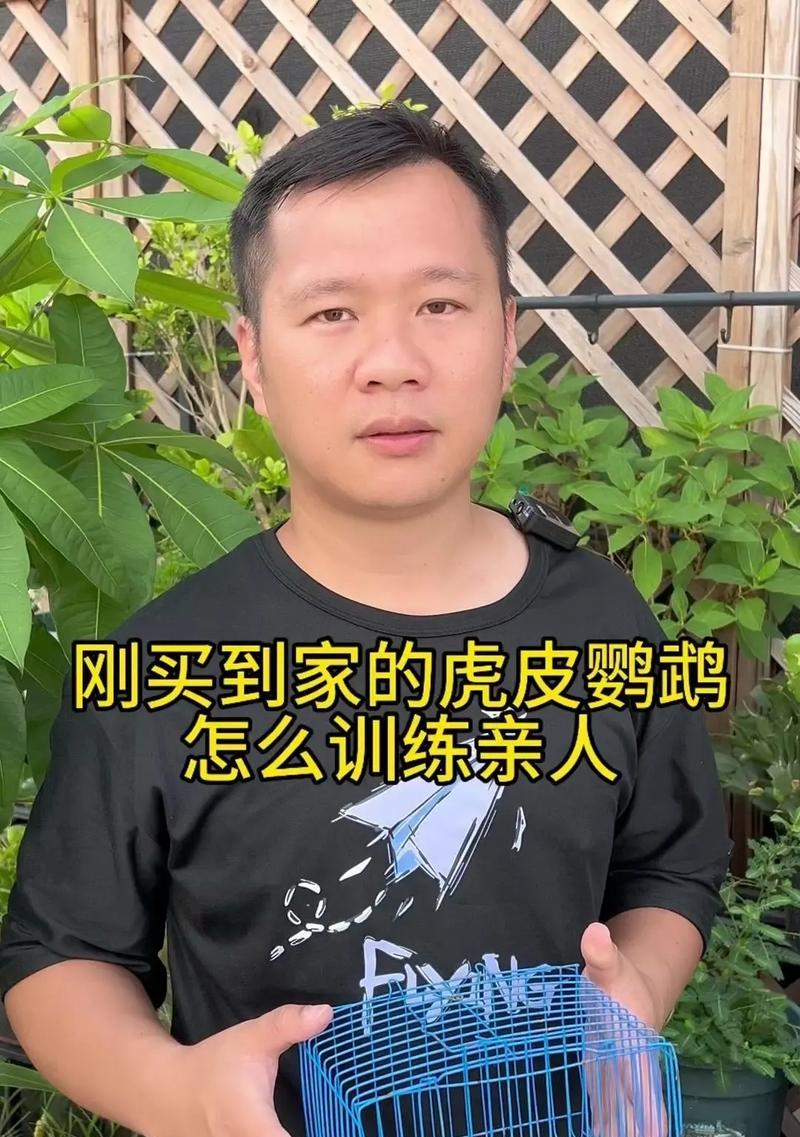 虎皮鹦鹉混养打架如何解决？有效方法有哪些？