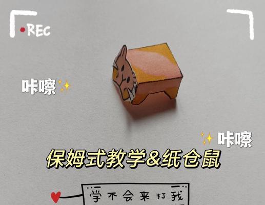 仓鼠为什么喜欢纸？怎么正确引导？