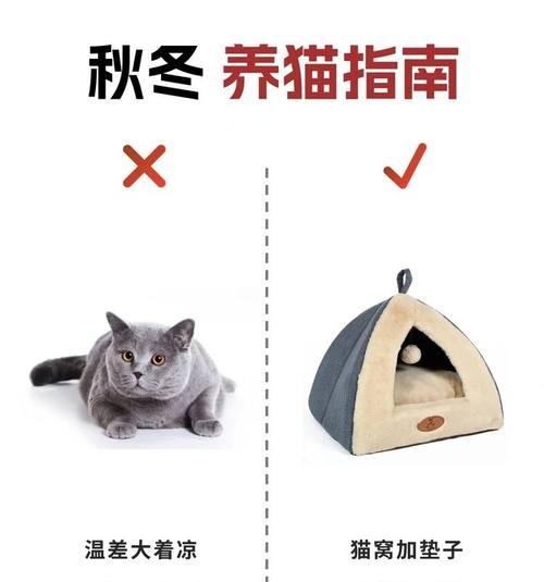 宠物猫误食线团能自行排出吗？小孩应怎么处理？