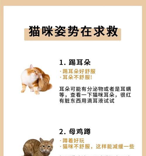 宠物猫误食线团能自行排出吗？小孩应怎么处理？