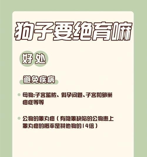 狗狗绝育后频繁尿床如何解决？有什么应对措施？