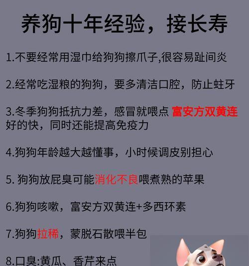 三个月宠物狗感冒如何快速应对？有什么小妙招？