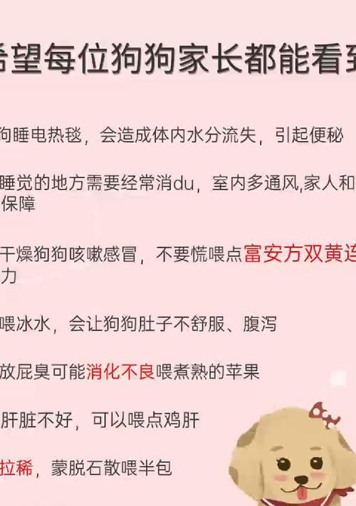 三个月宠物狗感冒如何快速应对？有什么小妙招？