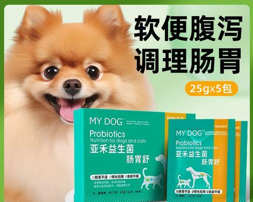 博美犬拉肚子并呕吐的解决办法有哪些？