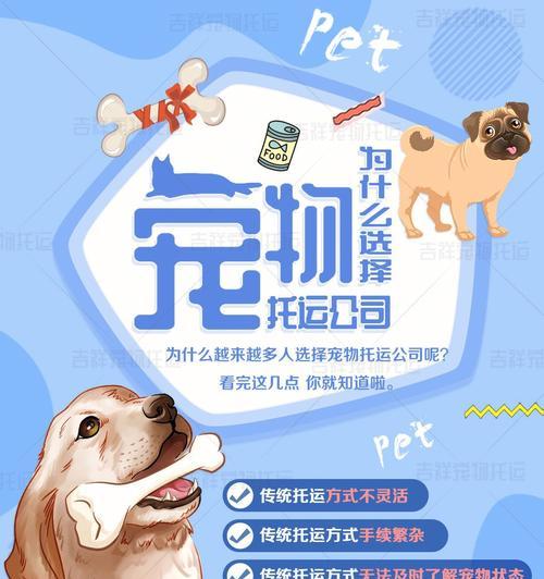 宠物托运后吐水吃什么药？怎么预防和处理？