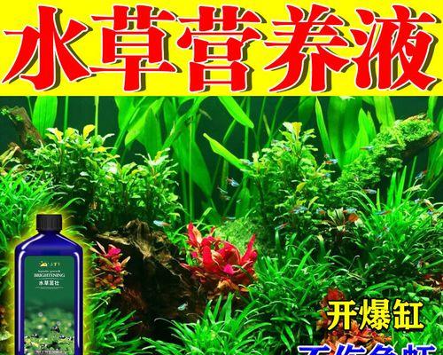 鱼缸水草烂根变黑？怎么使用药物进行治疗？