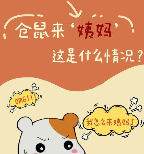 仓鼠持续吃纸是什么原因？如何解决？