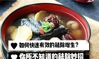 仓鼠啃食卫生纸怎么办？如何有效防止并处理？